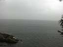 ./images/koeye/fitz-hugh/20170626/fitz-hugh20170626_122403.jpg