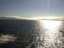 ./images/koeye/fitz-hugh/20170629/fitz-hugh20170629_175702.jpg