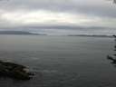 ./images/koeye/fitz-hugh/20170630/fitz-hugh20170630_095702.jpg