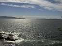 ./images/koeye/fitz-hugh/20170630/fitz-hugh20170630_155702.jpg
