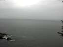 ./images/koeye/fitz-hugh/20170701/fitz-hugh20170701_175701.jpg
