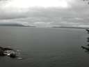 ./images/koeye/fitz-hugh/20170702/fitz-hugh20170702_095703.jpg