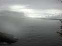 ./images/koeye/fitz-hugh/20170702/fitz-hugh20170702_135701.jpg