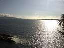 ./images/koeye/fitz-hugh/20170703/fitz-hugh20170703_175703.jpg