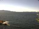 ./images/koeye/fitz-hugh/20170705/fitz-hugh20170705_135701.jpg