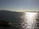 ./images/koeye/fitz-hugh/20170706/fitz-hugh20170706_175702.jpg