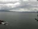 ./images/koeye/fitz-hugh/20170707/fitz-hugh20170707_121802.jpg