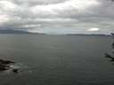 ./images/koeye/fitz-hugh/20170707/fitz-hugh20170707_122703.jpg