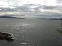 ./images/koeye/fitz-hugh/20170707/fitz-hugh20170707_155701.jpg