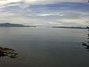 ./images/koeye/fitz-hugh/20170708/fitz-hugh20170708_122103.jpg