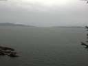 ./images/koeye/fitz-hugh/20170708/fitz-hugh20170708_155703.jpg