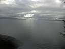 ./images/koeye/fitz-hugh/20170709/fitz-hugh20170709_075702.jpg