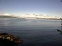./images/koeye/fitz-hugh/20170710/fitz-hugh20170710_075703.jpg