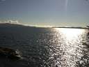 ./images/koeye/fitz-hugh/20170710/fitz-hugh20170710_175702.jpg