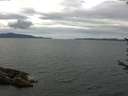 ./images/koeye/fitz-hugh/20170711/fitz-hugh20170711_122403.jpg