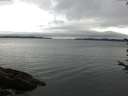 ./images/koeye/fitz-hugh/20170712/fitz-hugh20170712_075703.jpg
