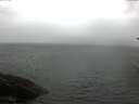 ./images/koeye/fitz-hugh/20170712/fitz-hugh20170712_115702.jpg