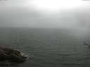 ./images/koeye/fitz-hugh/20170712/fitz-hugh20170712_121501.jpg
