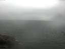 ./images/koeye/fitz-hugh/20170712/fitz-hugh20170712_122101.jpg