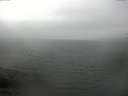 ./images/koeye/fitz-hugh/20170712/fitz-hugh20170712_122402.jpg