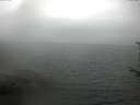 ./images/koeye/fitz-hugh/20170712/fitz-hugh20170712_122702.jpg