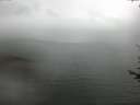 ./images/koeye/fitz-hugh/20170712/fitz-hugh20170712_135701.jpg