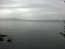 ./images/koeye/fitz-hugh/20170712/fitz-hugh20170712_175702.jpg