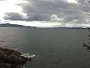 ./images/koeye/fitz-hugh/20170713/fitz-hugh20170713_121502.jpg