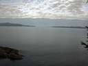 ./images/koeye/fitz-hugh/20170714/fitz-hugh20170714_075703.jpg