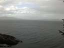 ./images/koeye/fitz-hugh/20170715/fitz-hugh20170715_095703.jpg