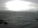 ./images/koeye/fitz-hugh/20170715/fitz-hugh20170715_155702.jpg