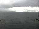 ./images/koeye/fitz-hugh/20170715/fitz-hugh20170715_175702.jpg