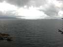 ./images/koeye/fitz-hugh/20170716/fitz-hugh20170716_075702.jpg