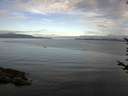 ./images/koeye/fitz-hugh/20170719/fitz-hugh20170719_075702.jpg