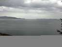 ./images/koeye/fitz-hugh/20170721/fitz-hugh20170721_055703.jpg