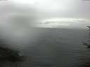 ./images/koeye/fitz-hugh/20170722/fitz-hugh20170722_095703.jpg
