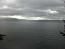 ./images/koeye/fitz-hugh/20170722/fitz-hugh20170722_115701.jpg