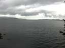 ./images/koeye/fitz-hugh/20170722/fitz-hugh20170722_122401.jpg
