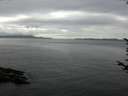 ./images/koeye/fitz-hugh/20170722/fitz-hugh20170722_155703.jpg