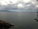./images/koeye/fitz-hugh/20170723/fitz-hugh20170723_095703.jpg