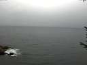 ./images/koeye/fitz-hugh/20170729/fitz-hugh20170729_075701.jpg