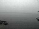 ./images/koeye/fitz-hugh/20170810/fitz-hugh20170810_052701.jpg