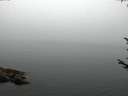 ./images/koeye/fitz-hugh/20170810/fitz-hugh20170810_055419.jpg