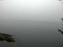 ./images/koeye/fitz-hugh/20170810/fitz-hugh20170810_055701.jpg