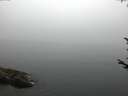./images/koeye/fitz-hugh/20170810/fitz-hugh20170810_062702.jpg