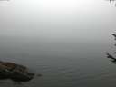 ./images/koeye/fitz-hugh/20170810/fitz-hugh20170810_065703.jpg