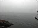 ./images/koeye/fitz-hugh/20170810/fitz-hugh20170810_072703.jpg