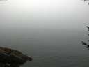 ./images/koeye/fitz-hugh/20170810/fitz-hugh20170810_075419.jpg