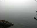 ./images/koeye/fitz-hugh/20170810/fitz-hugh20170810_075703.jpg