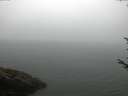 ./images/koeye/fitz-hugh/20170810/fitz-hugh20170810_082703.jpg